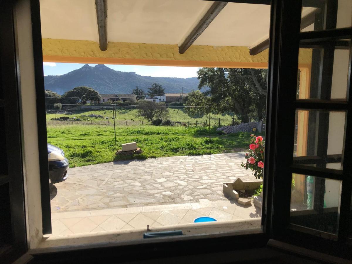 Casa Di Campagna In Gallura Luogosanto Extérieur photo